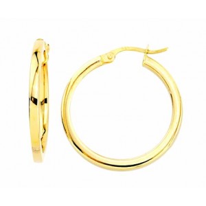 Gold Earrings 10kt, AR40-10-15